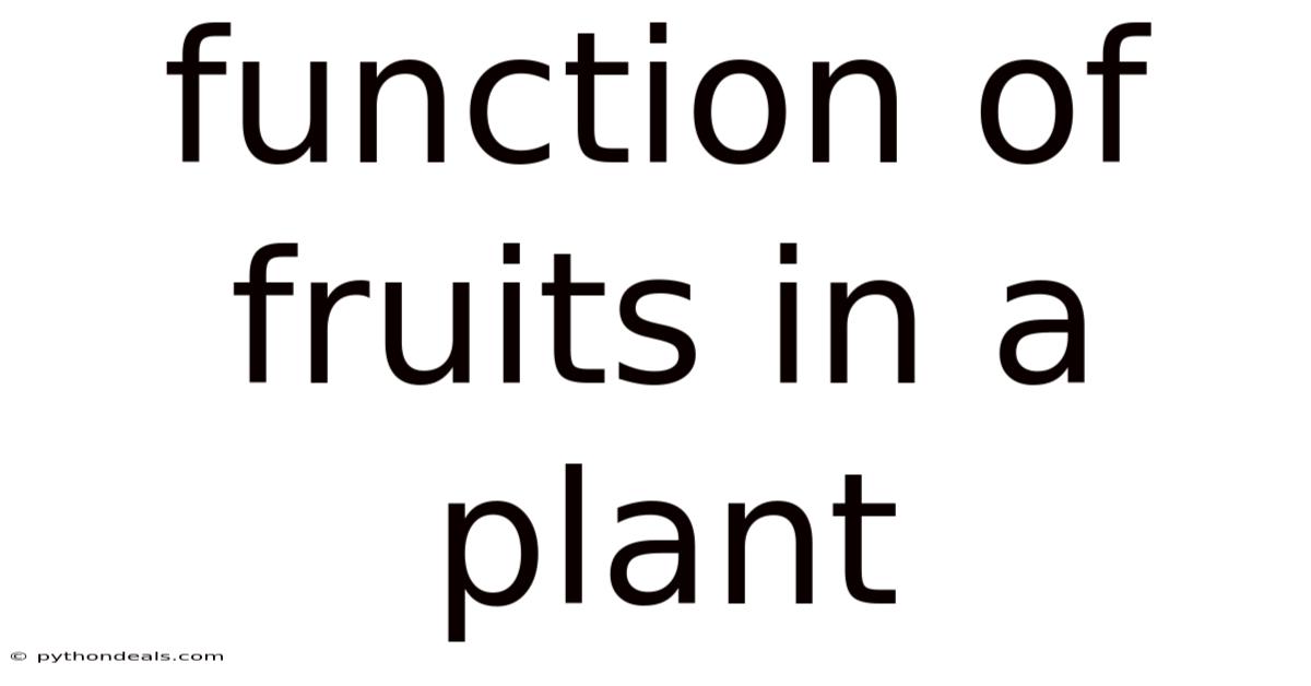 Function Of Fruits In A Plant