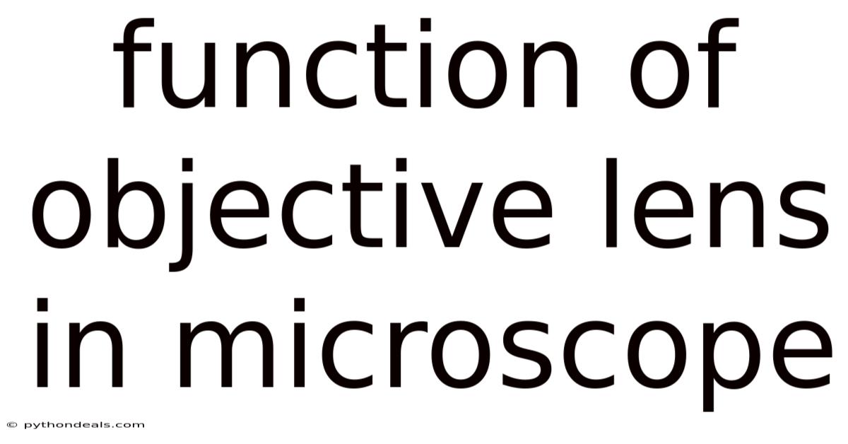 Function Of Objective Lens In Microscope