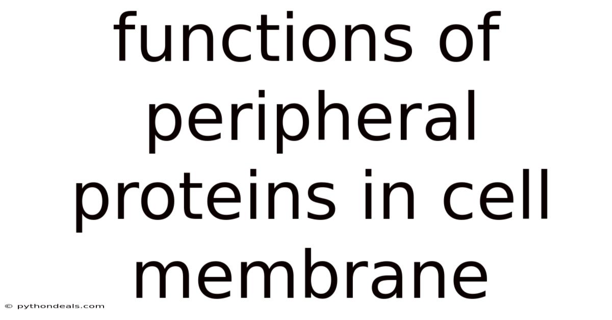 Functions Of Peripheral Proteins In Cell Membrane