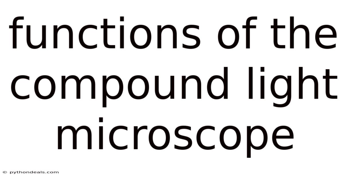 Functions Of The Compound Light Microscope