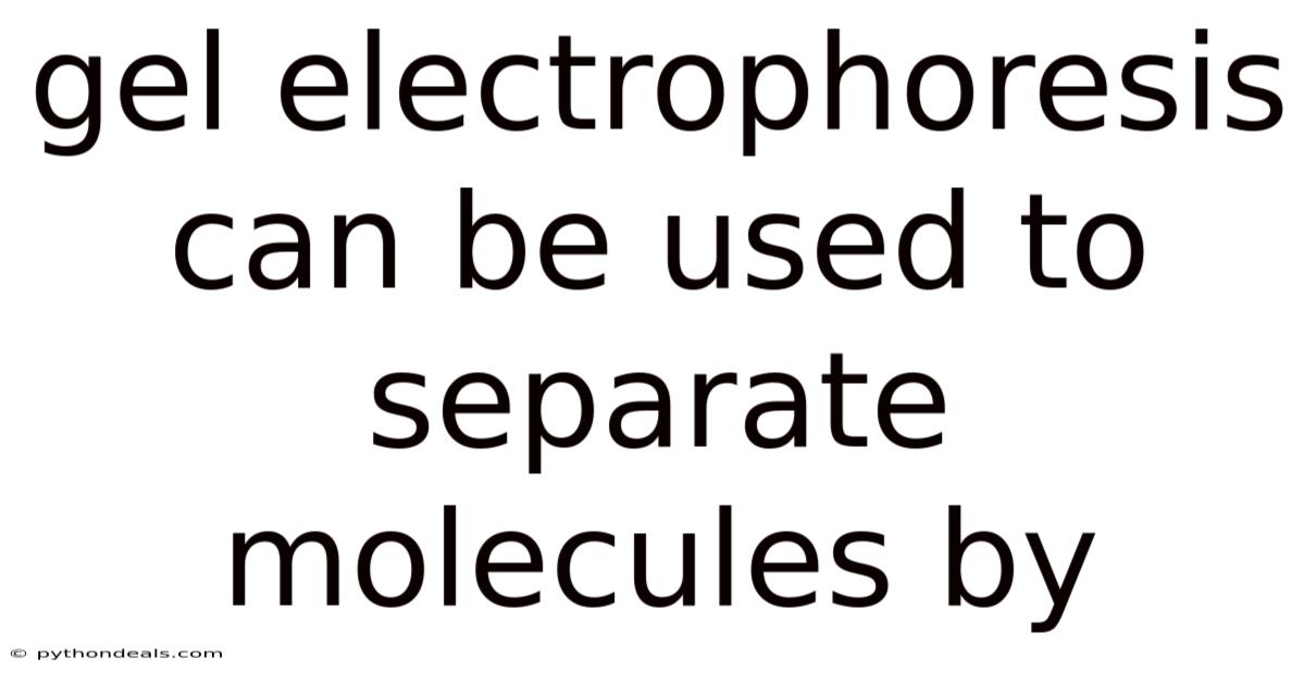 Gel Electrophoresis Can Be Used To Separate Molecules By