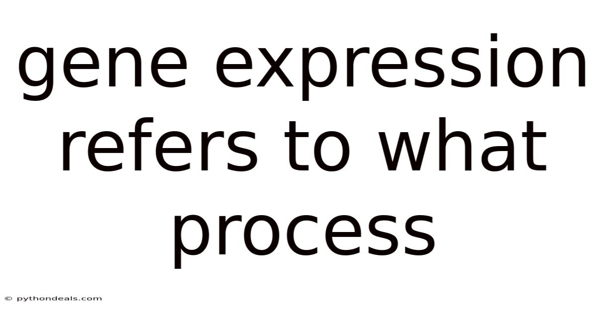 Gene Expression Refers To What Process