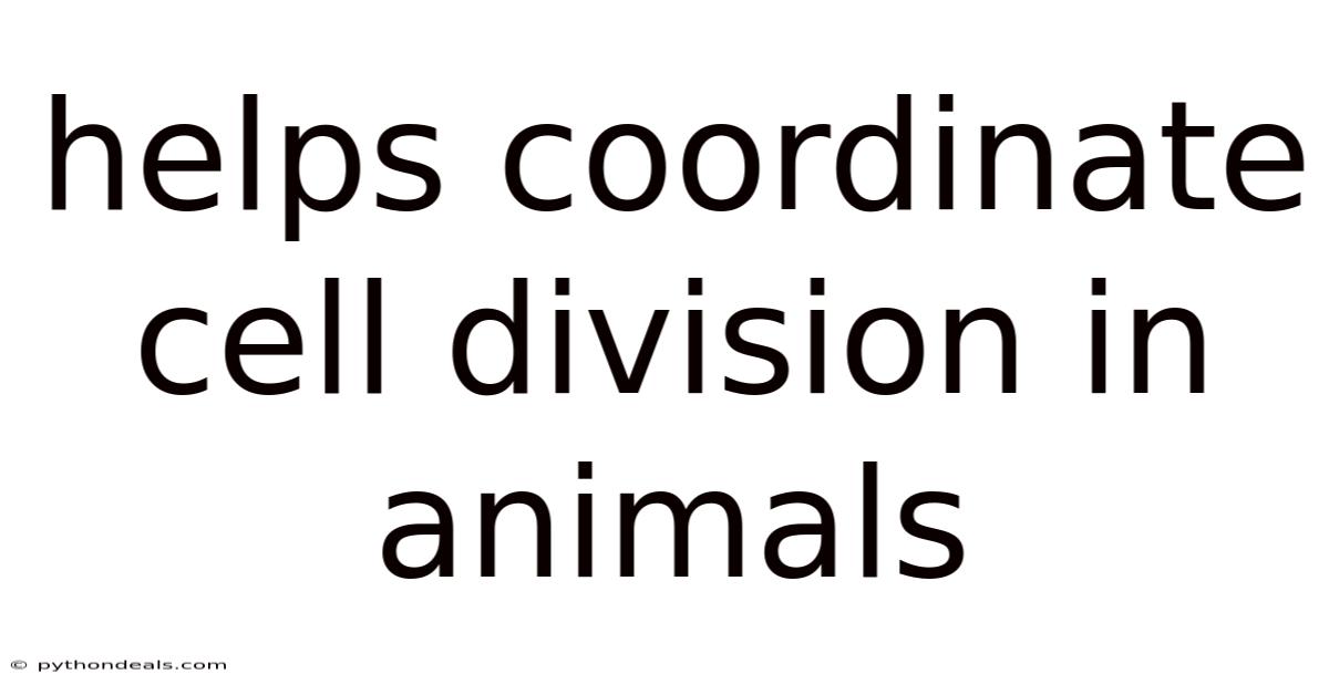 Helps Coordinate Cell Division In Animals