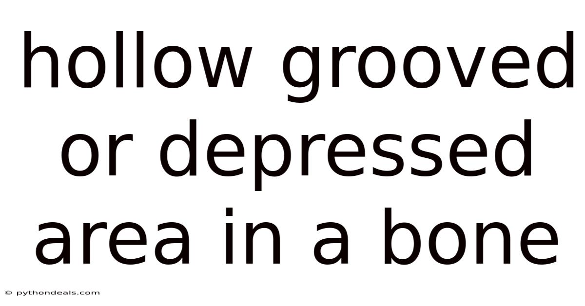 Hollow Grooved Or Depressed Area In A Bone