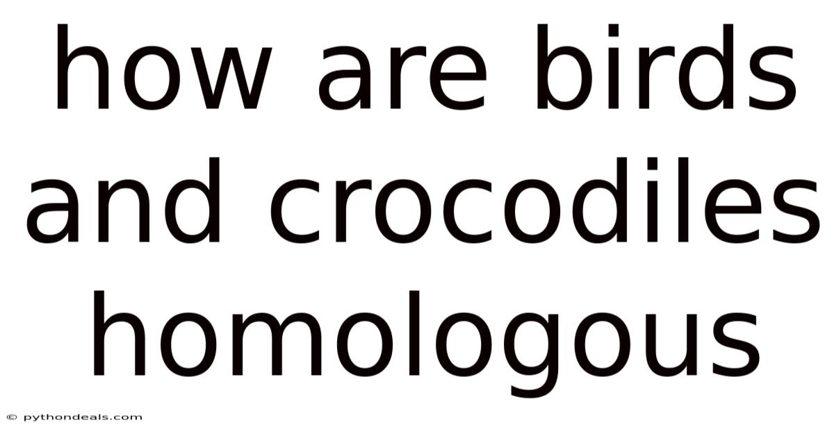 How Are Birds And Crocodiles Homologous