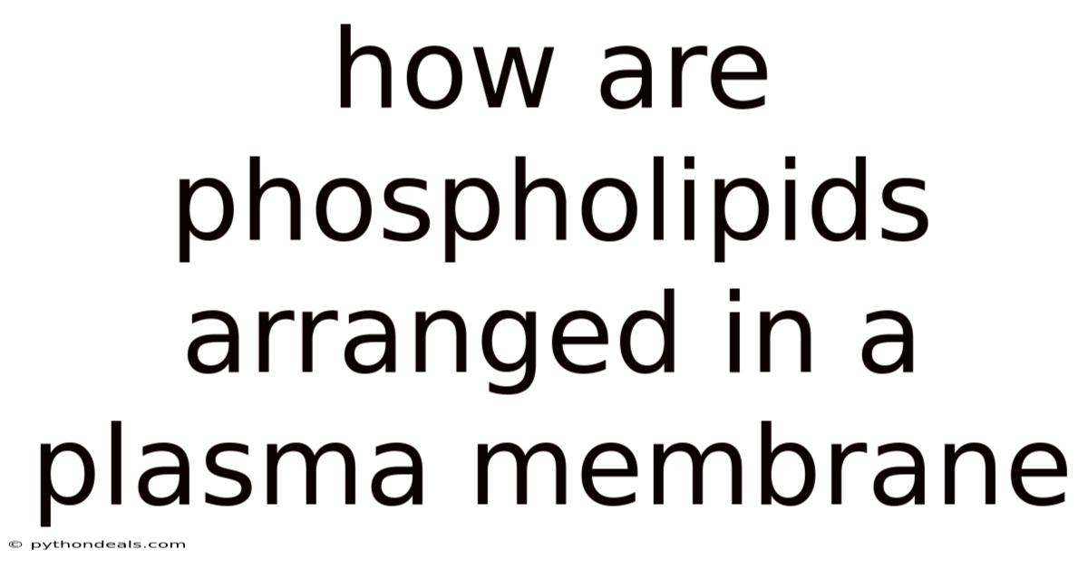 How Are Phospholipids Arranged In A Plasma Membrane