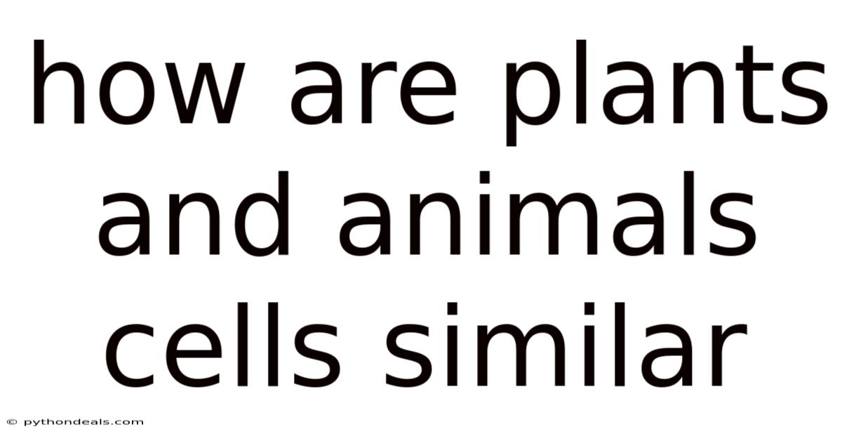 How Are Plants And Animals Cells Similar