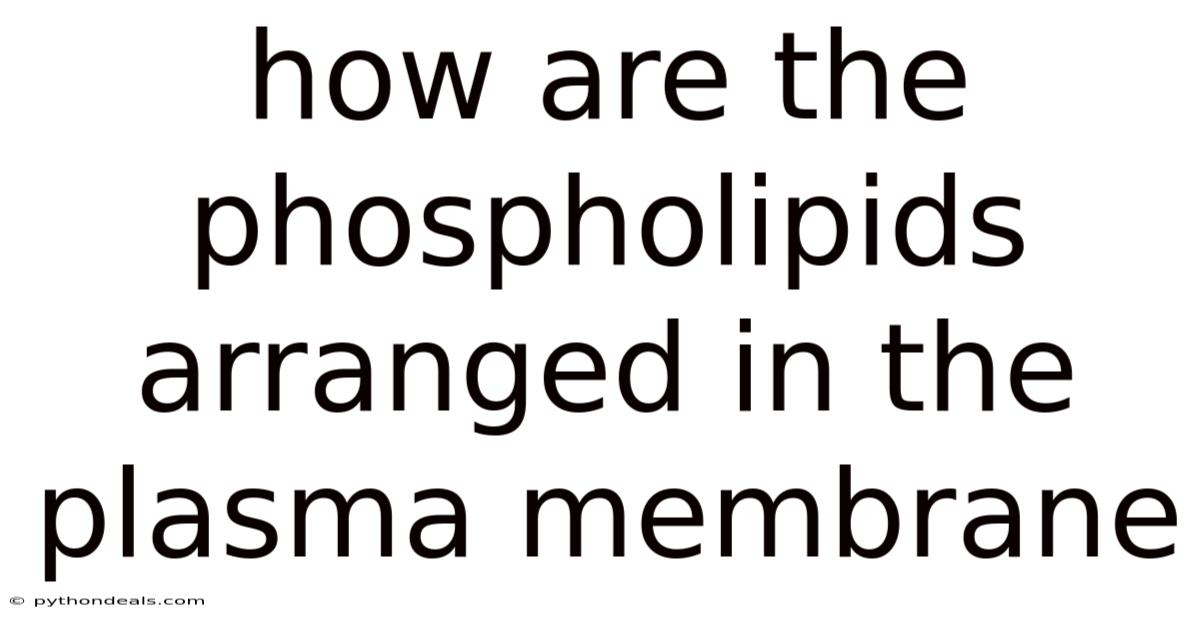 How Are The Phospholipids Arranged In The Plasma Membrane