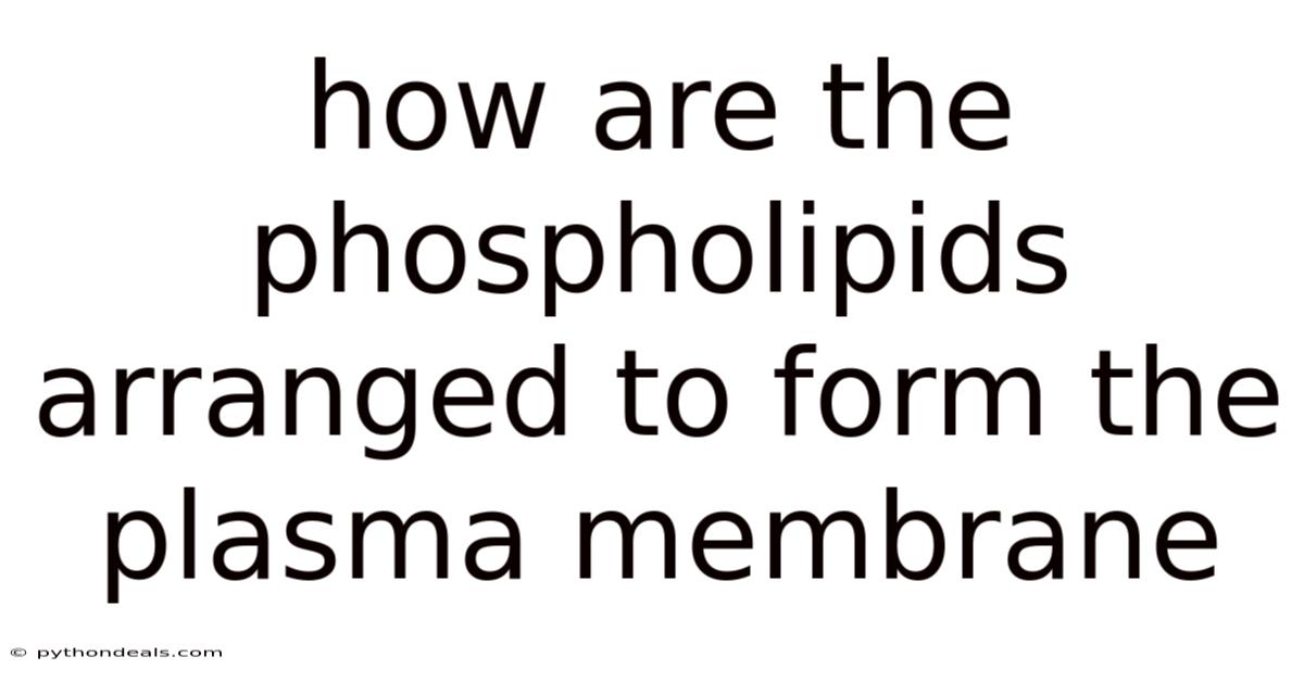 How Are The Phospholipids Arranged To Form The Plasma Membrane