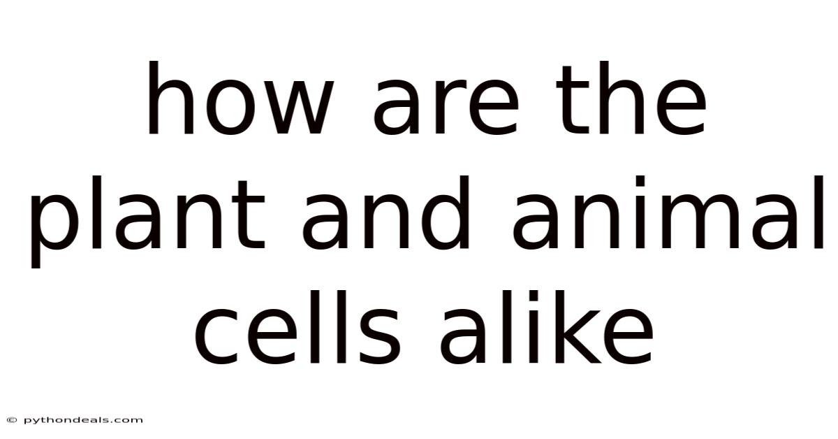 How Are The Plant And Animal Cells Alike