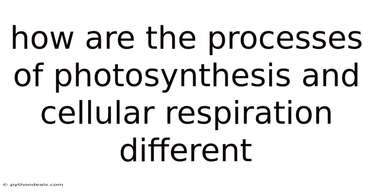 How Are The Processes Of Photosynthesis And Cellular Respiration Different