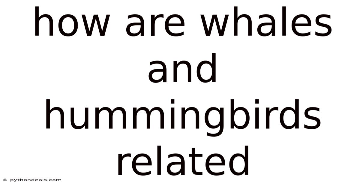 How Are Whales And Hummingbirds Related