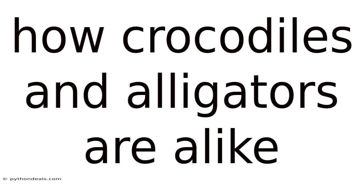 How Crocodiles And Alligators Are Alike