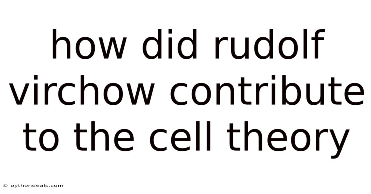 How Did Rudolf Virchow Contribute To The Cell Theory