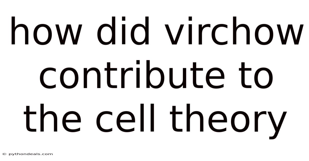 How Did Virchow Contribute To The Cell Theory