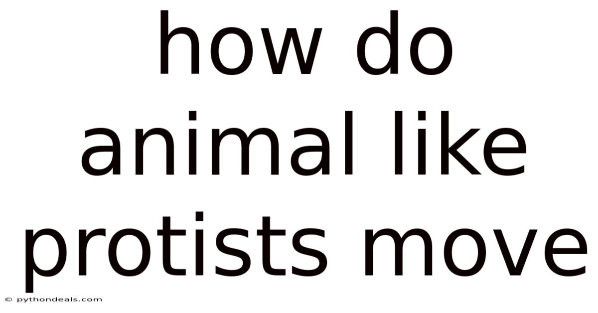 How Do Animal Like Protists Move