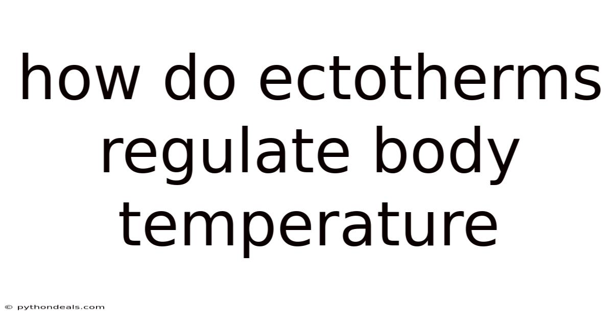 How Do Ectotherms Regulate Body Temperature