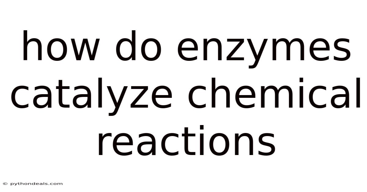 How Do Enzymes Catalyze Chemical Reactions