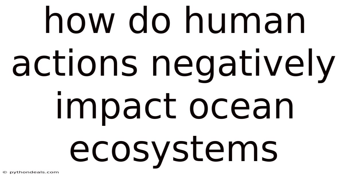 How Do Human Actions Negatively Impact Ocean Ecosystems