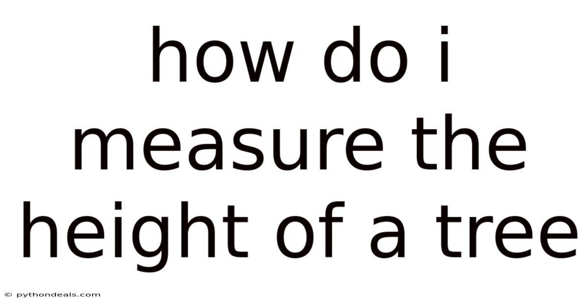 How Do I Measure The Height Of A Tree