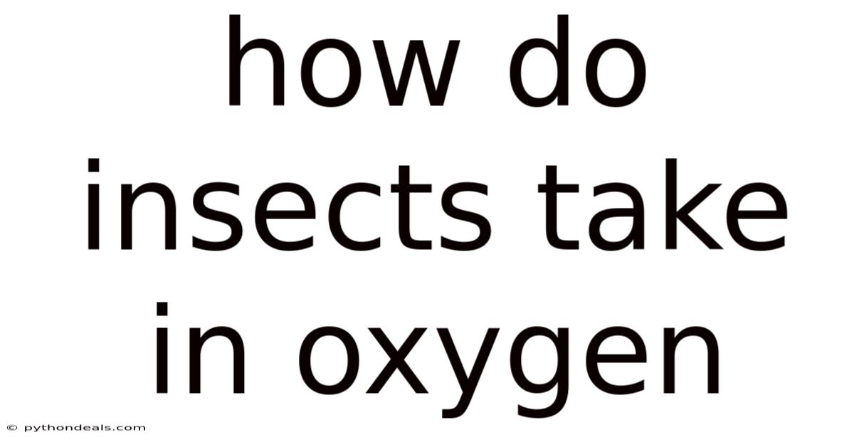How Do Insects Take In Oxygen