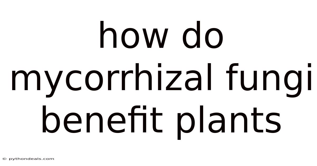How Do Mycorrhizal Fungi Benefit Plants