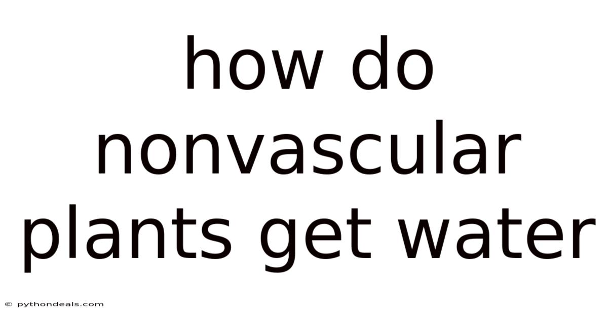 How Do Nonvascular Plants Get Water