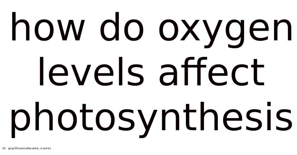 How Do Oxygen Levels Affect Photosynthesis