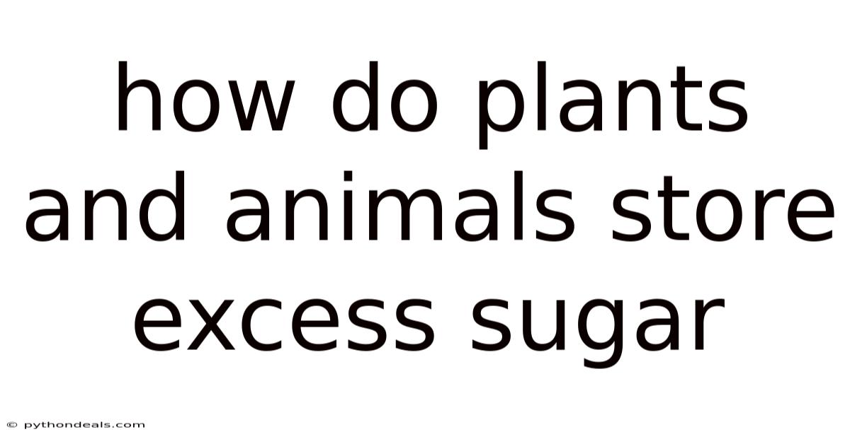 How Do Plants And Animals Store Excess Sugar