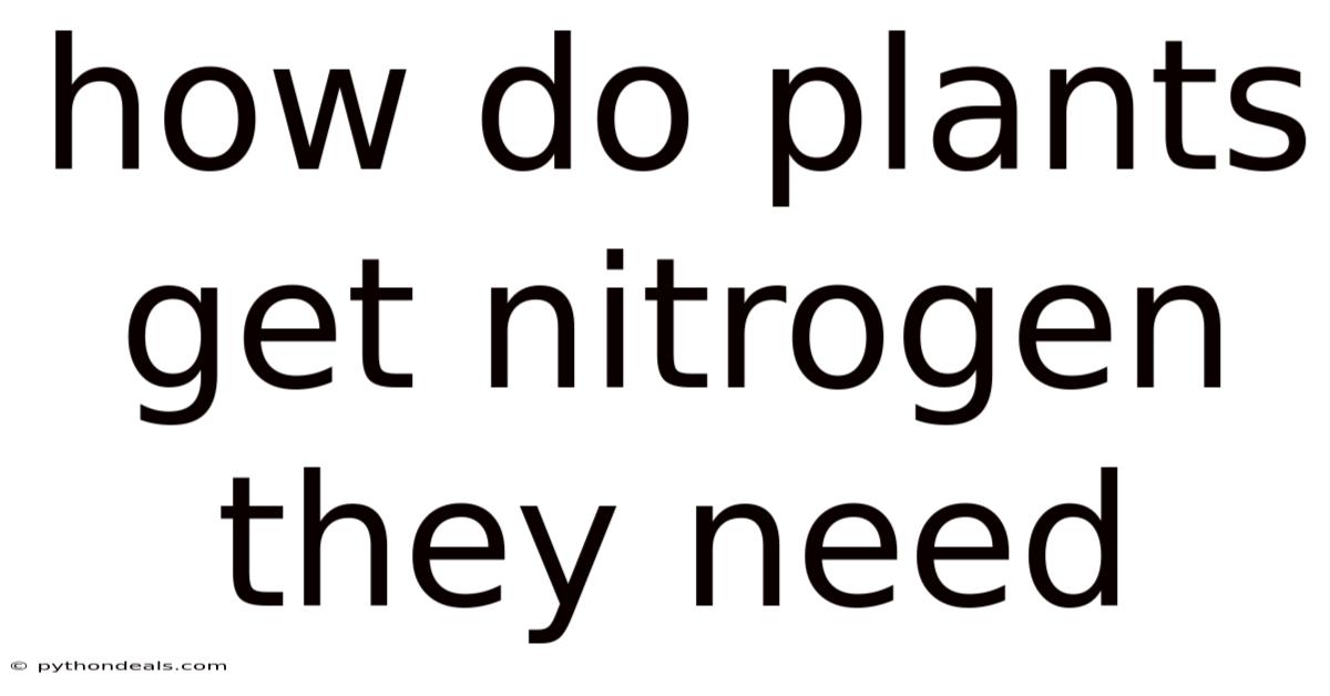 How Do Plants Get Nitrogen They Need