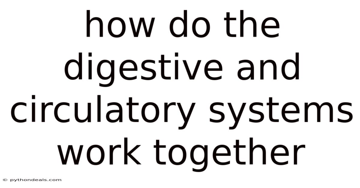 How Do The Digestive And Circulatory Systems Work Together