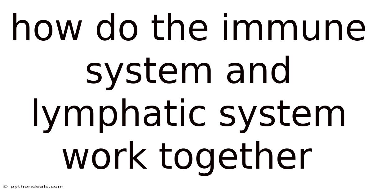How Do The Immune System And Lymphatic System Work Together