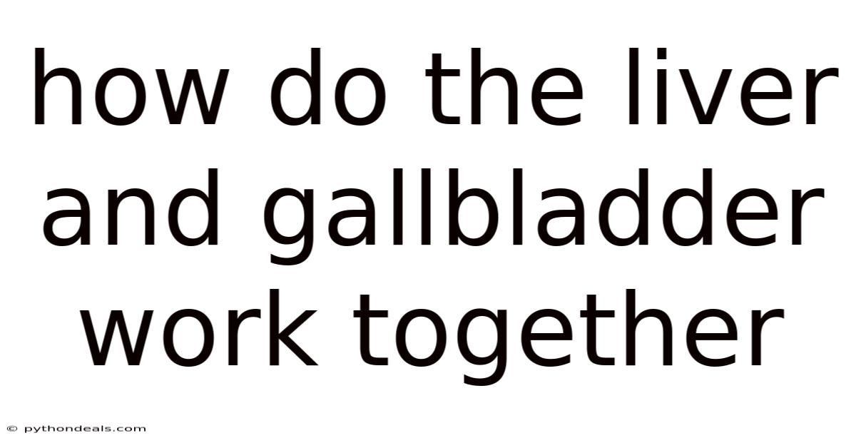 How Do The Liver And Gallbladder Work Together