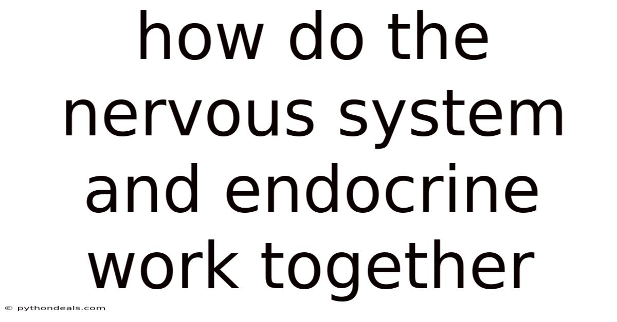 How Do The Nervous System And Endocrine Work Together