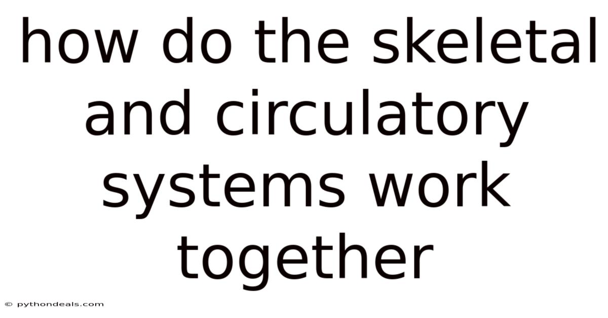 How Do The Skeletal And Circulatory Systems Work Together