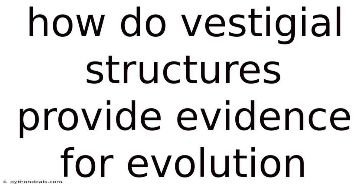 How Do Vestigial Structures Provide Evidence For Evolution