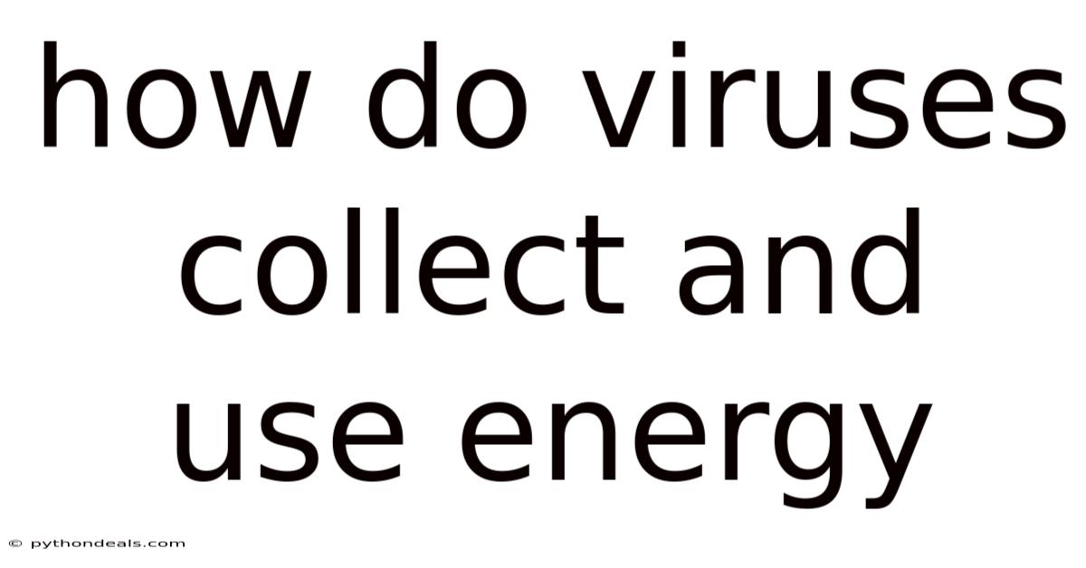 How Do Viruses Collect And Use Energy