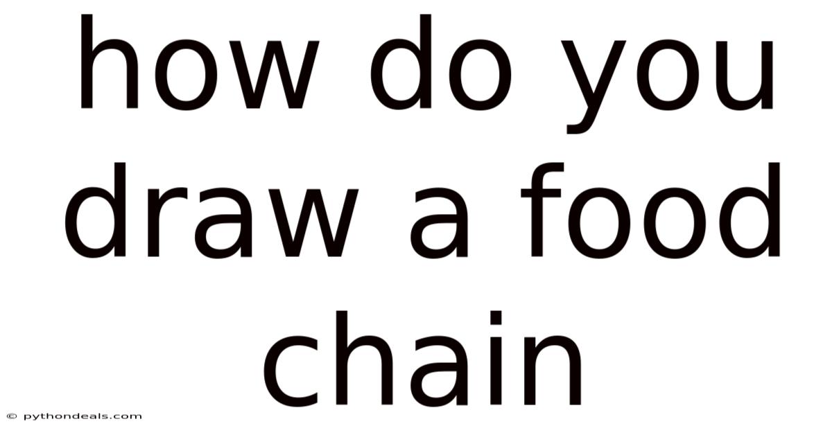 How Do You Draw A Food Chain