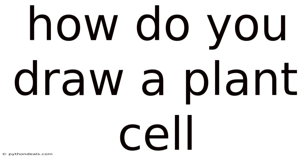 How Do You Draw A Plant Cell