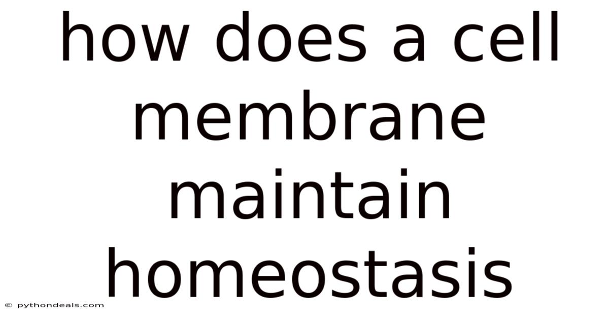 How Does A Cell Membrane Maintain Homeostasis