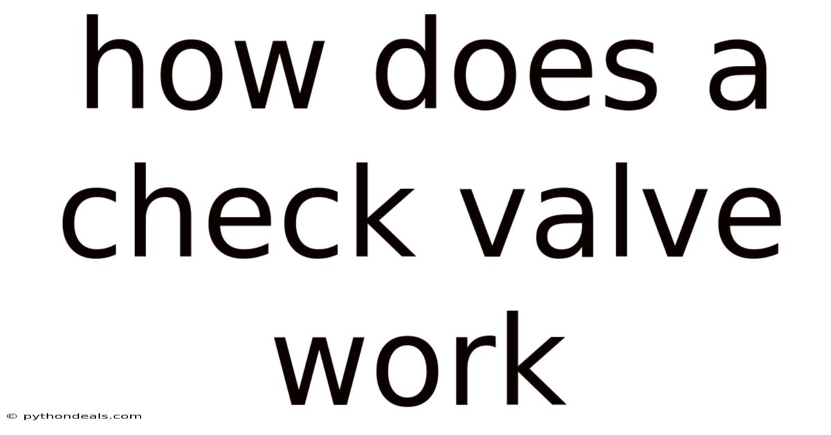How Does A Check Valve Work