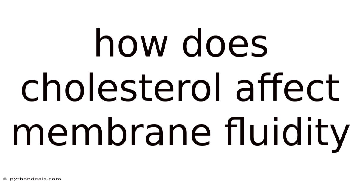 How Does Cholesterol Affect Membrane Fluidity