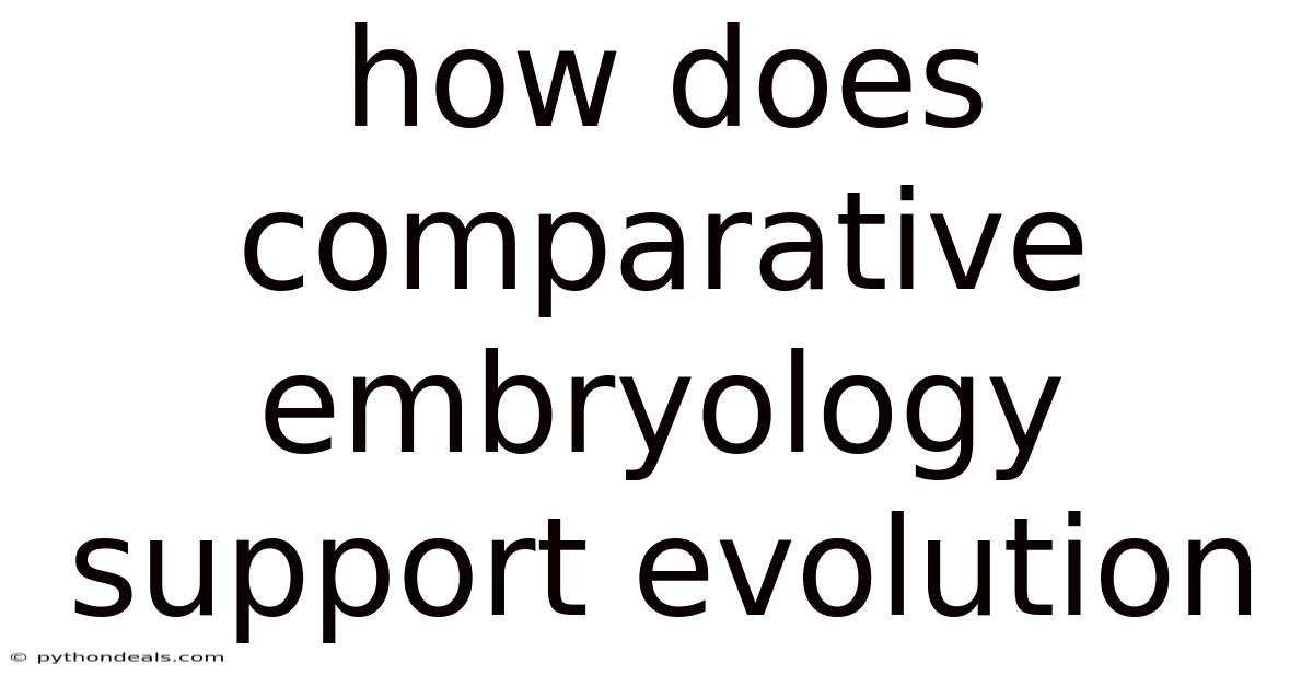 How Does Comparative Embryology Support Evolution