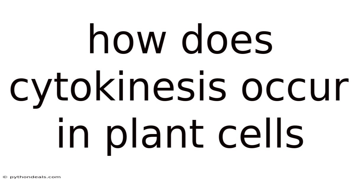 How Does Cytokinesis Occur In Plant Cells