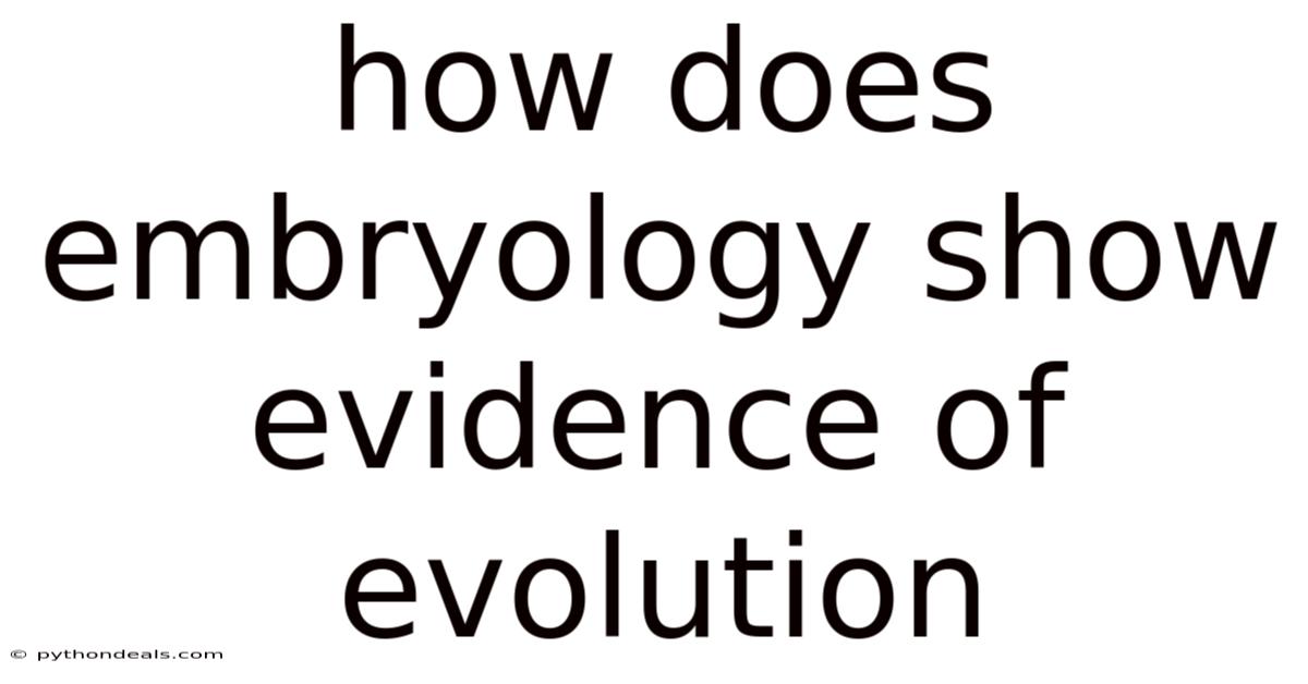 How Does Embryology Show Evidence Of Evolution