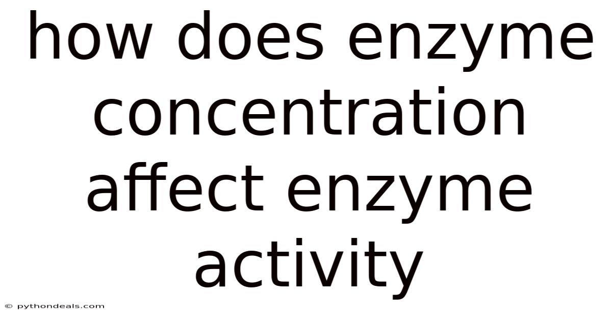 How Does Enzyme Concentration Affect Enzyme Activity