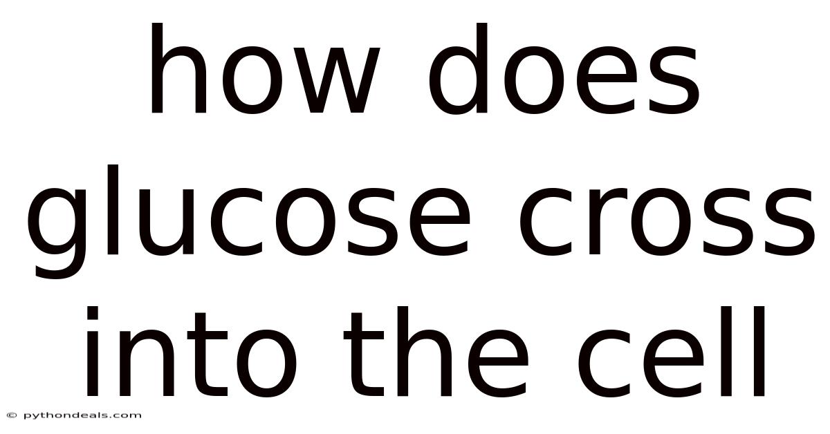 How Does Glucose Cross Into The Cell