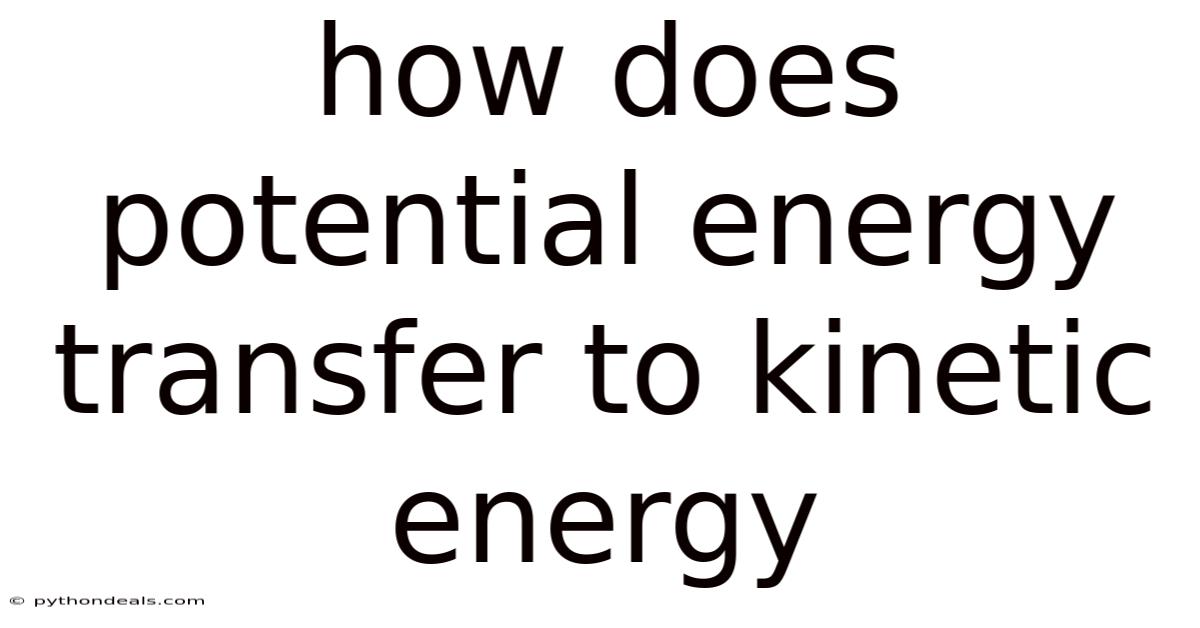 How Does Potential Energy Transfer To Kinetic Energy