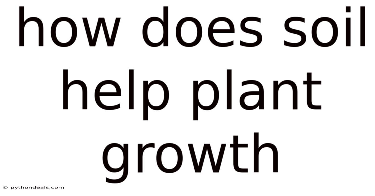 How Does Soil Help Plant Growth