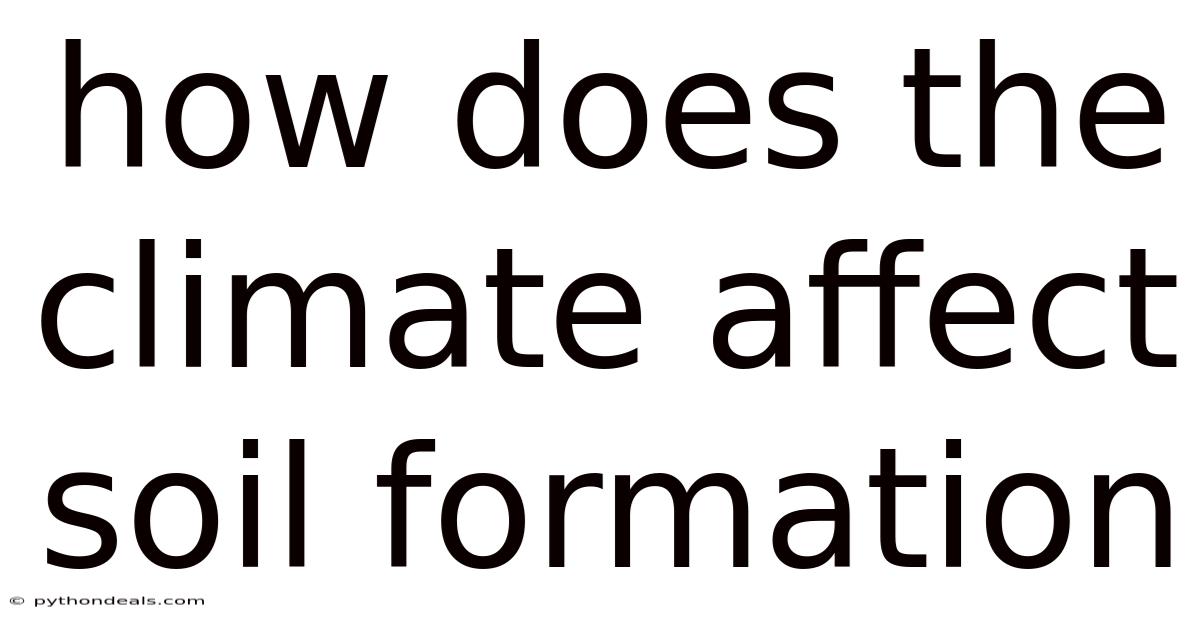How Does The Climate Affect Soil Formation